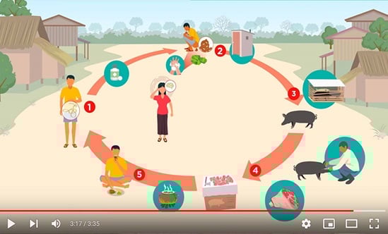 Approche : Une-santé pour lutter contre le ténia du porc